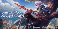 网5