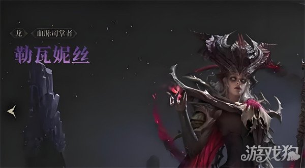 如何选择龙息神寂橙卡英雄