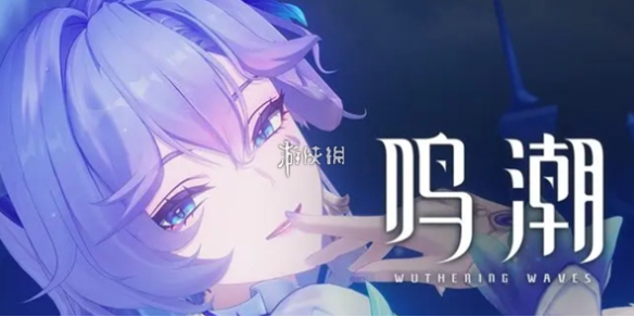 网1