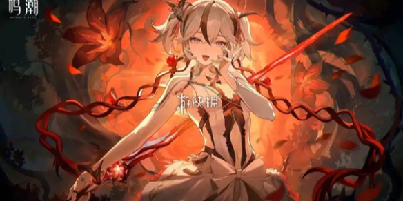 网1