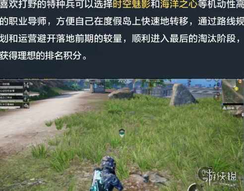 网16