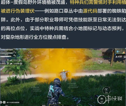 网17