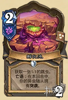 网6