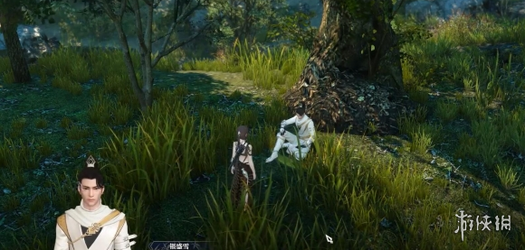 网8