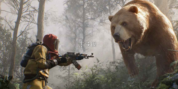 网1