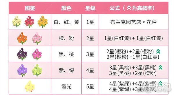 心动小镇的春天,夏天,春天的花朵,如何种植